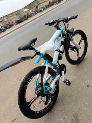 Vélo Electrique