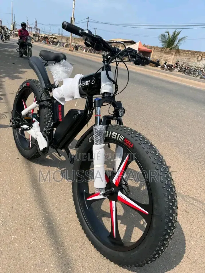 Vélo Electrique