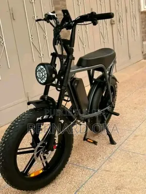 Vélo Électrique