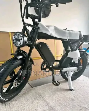 Vélo Électrique