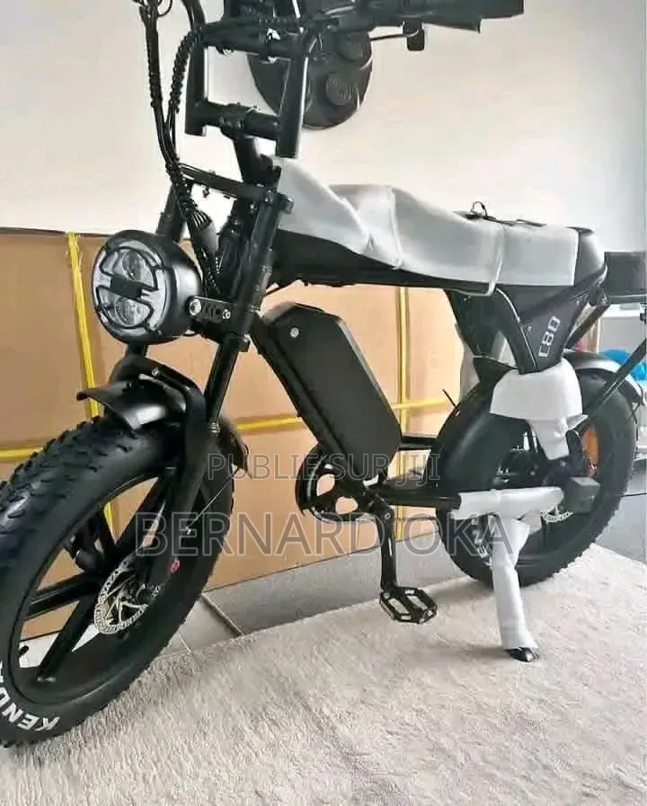 Vélo Électrique