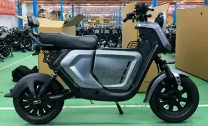 Vélo Électrique