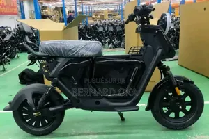 Vélo Électrique