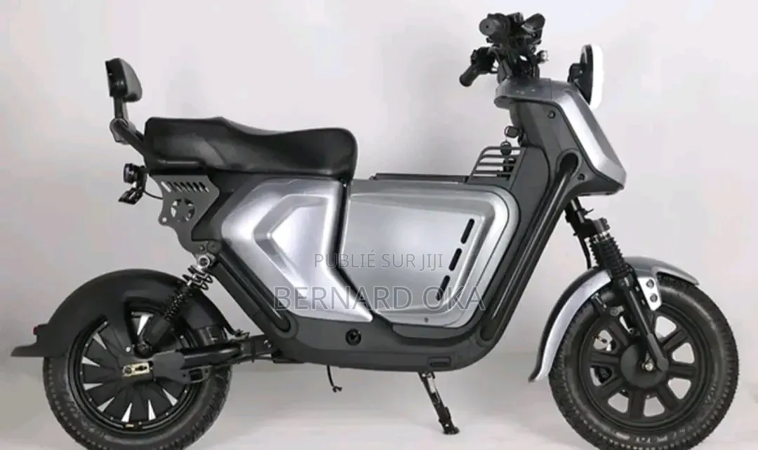 Vélo Électrique