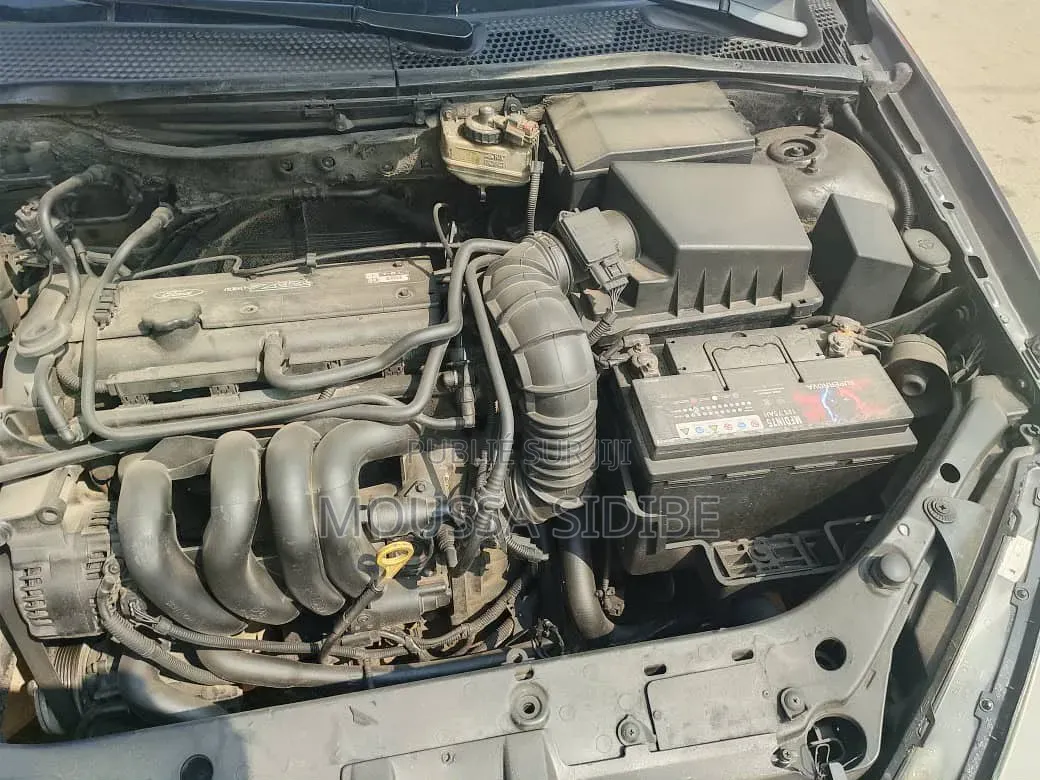 Ford Focus 2004 Gris