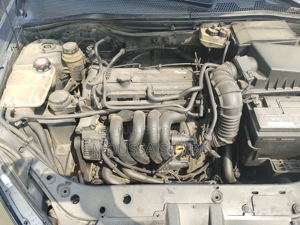 Ford Focus 2004 Gris