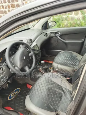 Ford Focus 2004 Gris