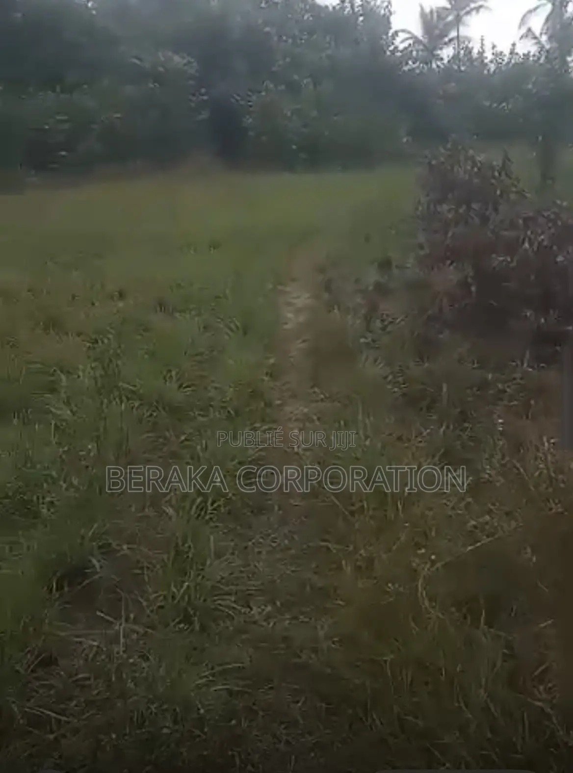  *PROJET DE LOTISSEMENT – AKROU*  *Axe Akrou – Village Bapo*  Par