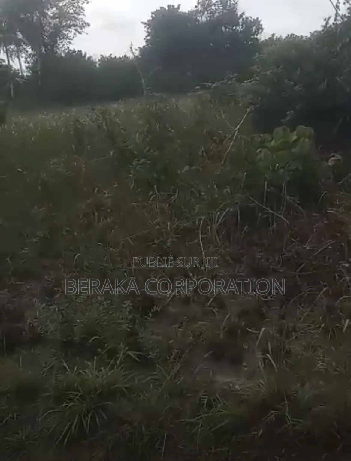  *PROJET DE LOTISSEMENT – AKROU*  *Axe Akrou – Village Bapo*  Par