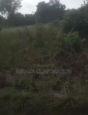  *PROJET DE LOTISSEMENT – AKROU*  *Axe Akrou – Village Bapo*  Par