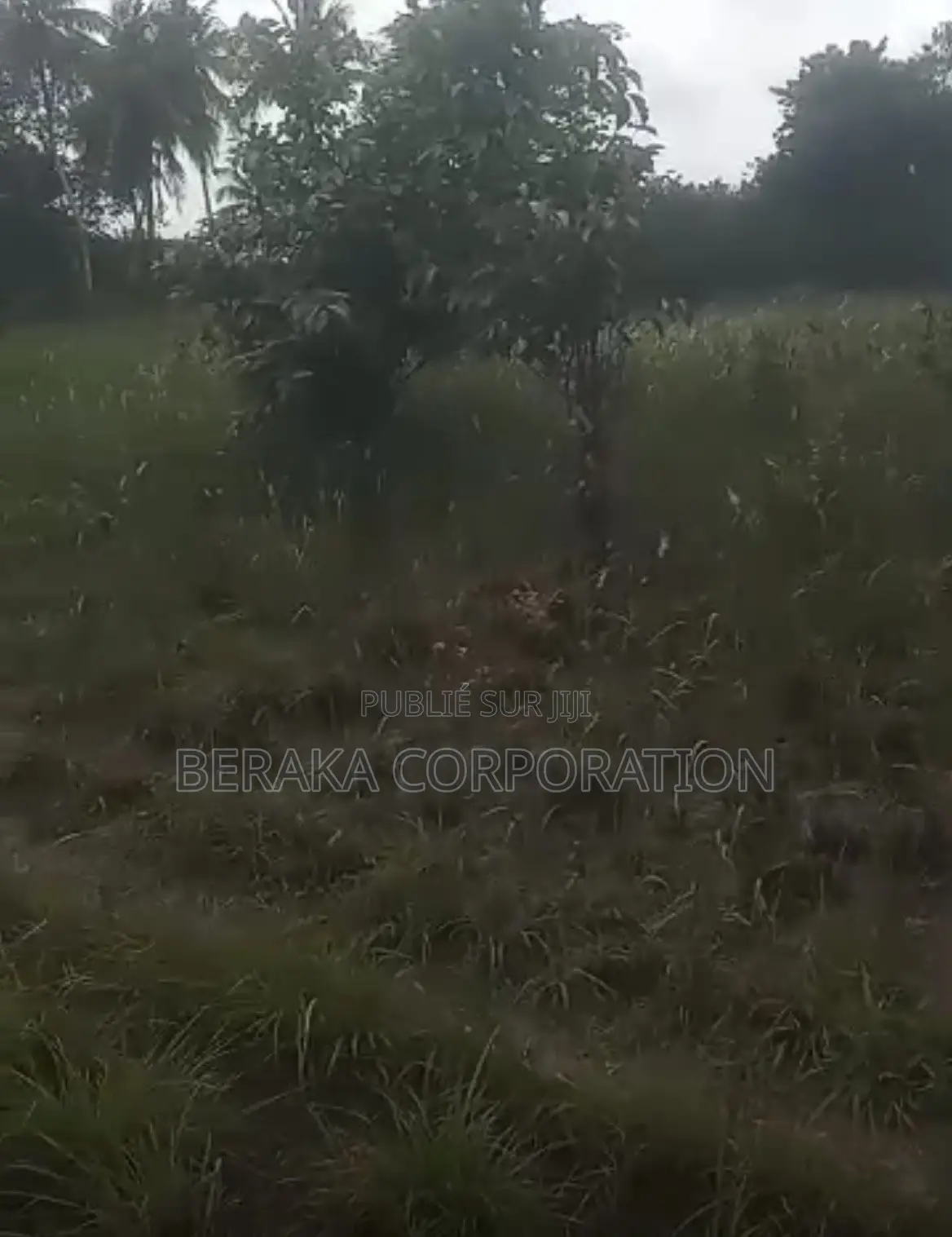  *PROJET DE LOTISSEMENT – AKROU*  *Axe Akrou – Village Bapo*  Par