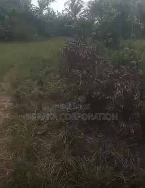  *PROJET DE LOTISSEMENT – AKROU*  *Axe Akrou – Village Bapo*  Par