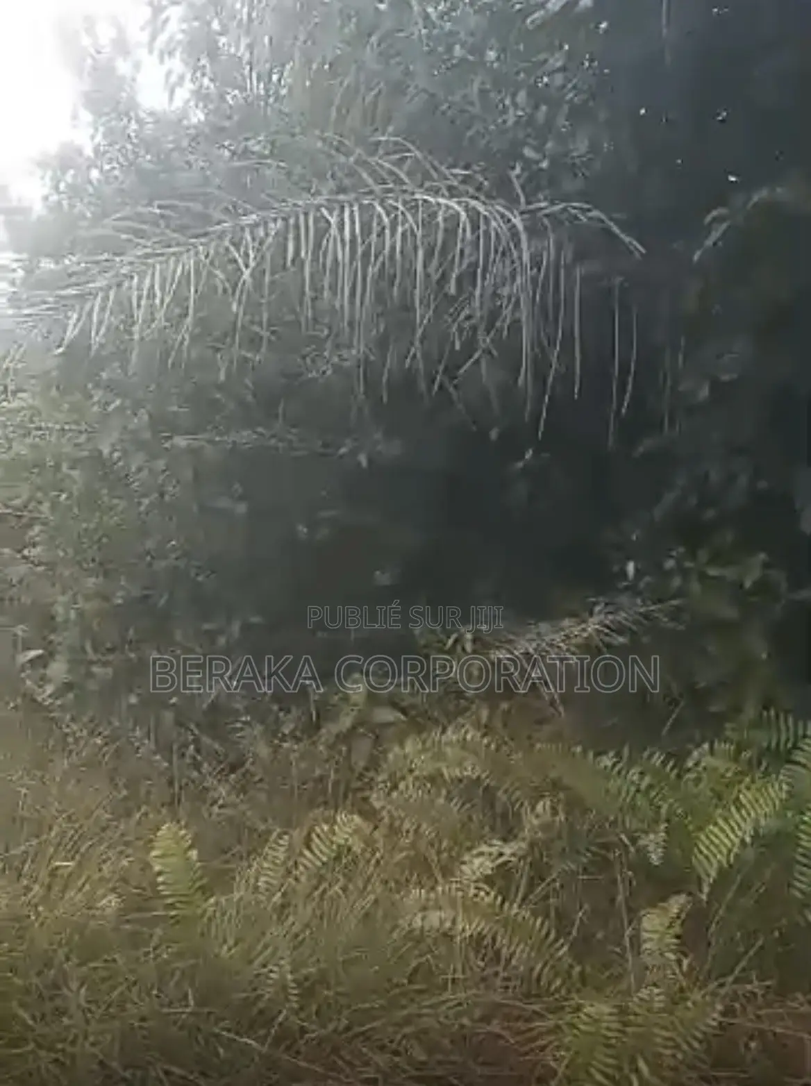  *PROJET DE LOTISSEMENT – AKROU*  *Axe Akrou – Village Bapo*  Par