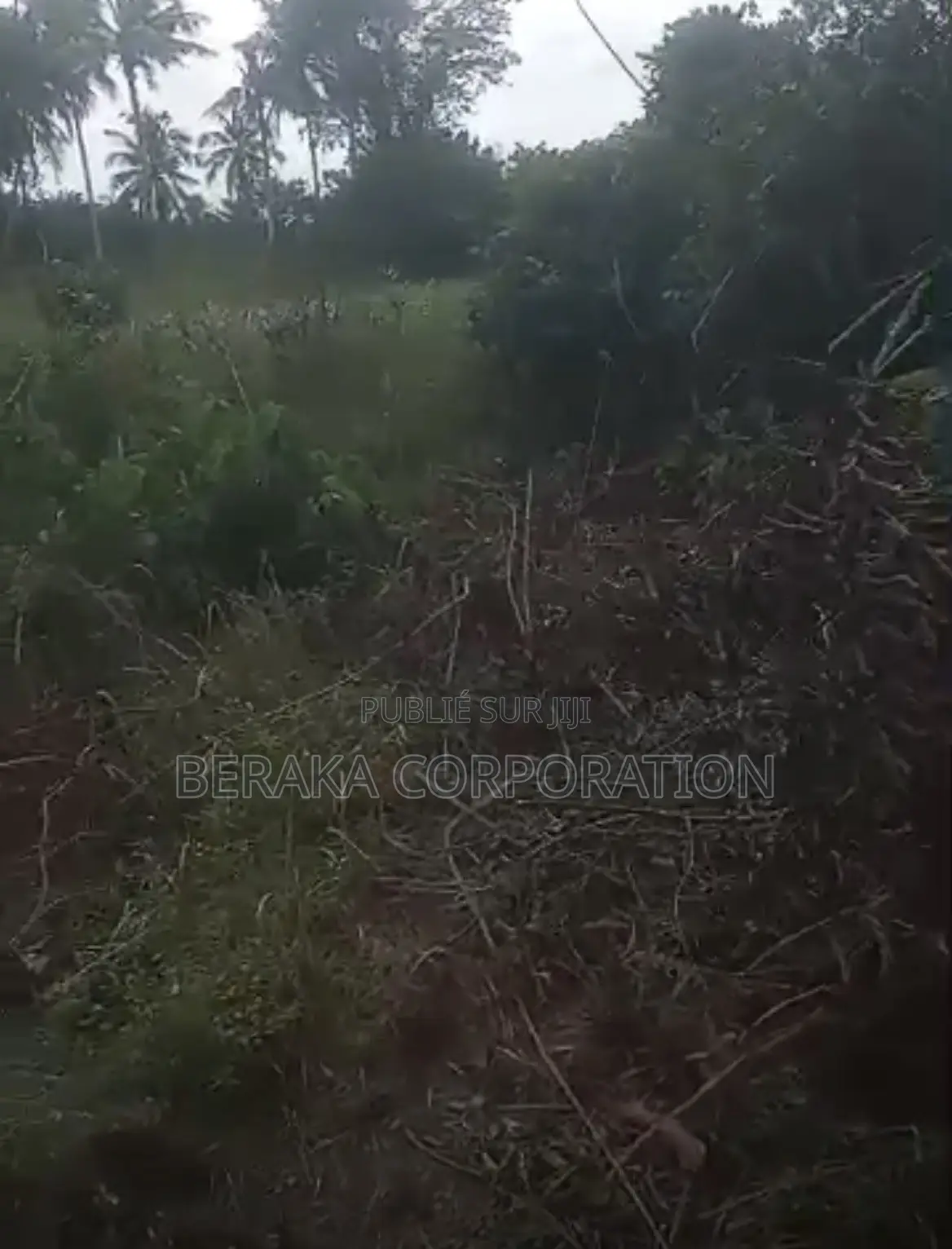  *PROJET DE LOTISSEMENT – AKROU*  *Axe Akrou – Village Bapo*  Par
