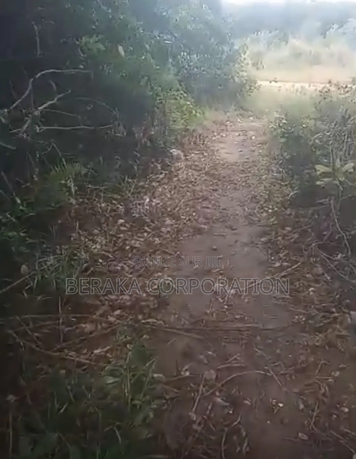  *PROJET DE LOTISSEMENT – AKROU*  *Axe Akrou – Village Bapo*  Par