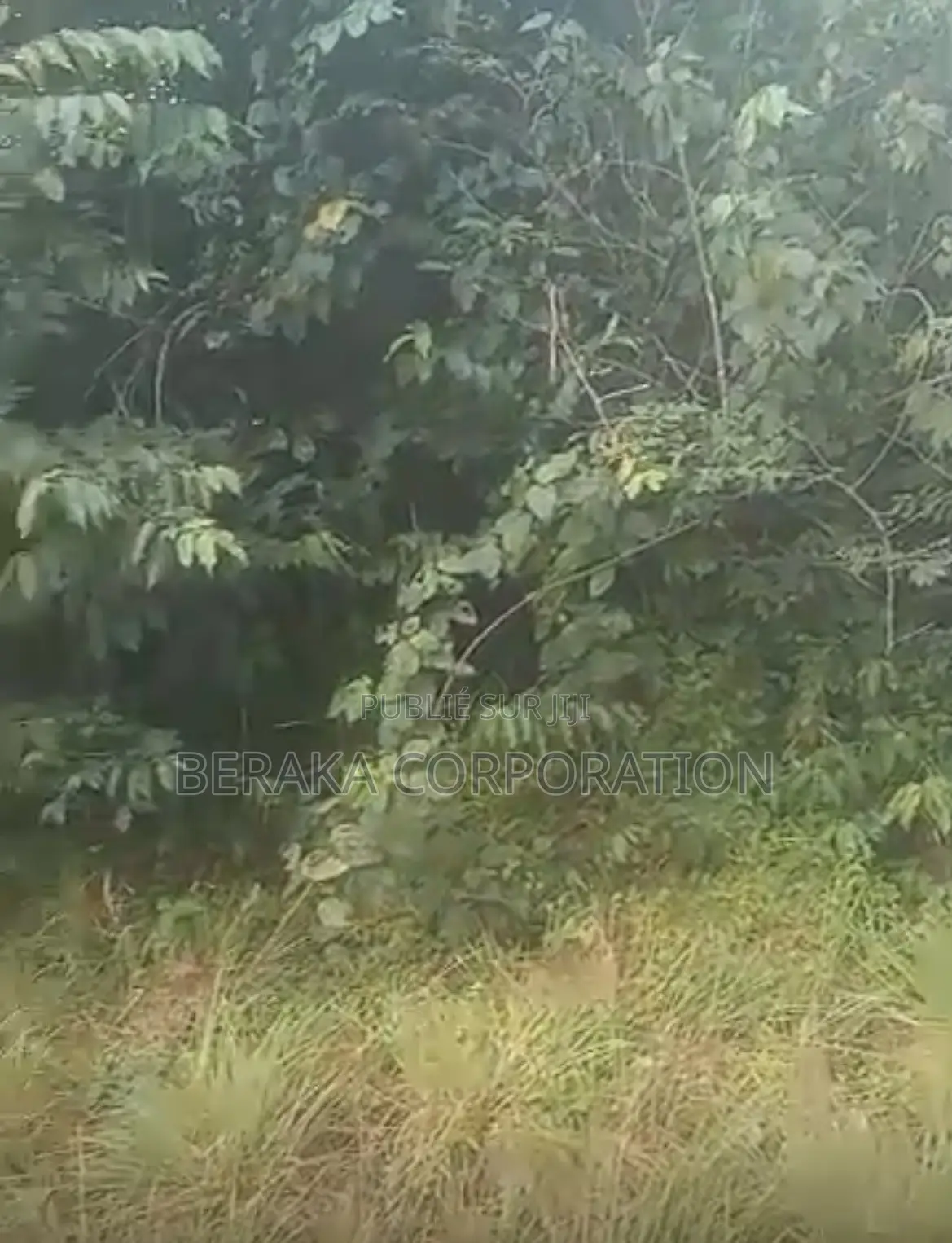  *PROJET DE LOTISSEMENT – AKROU*  *Axe Akrou – Village Bapo*  Par
