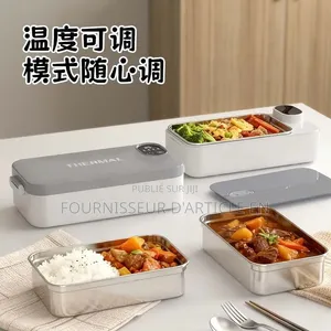 Boîte À Lunch Électrique.