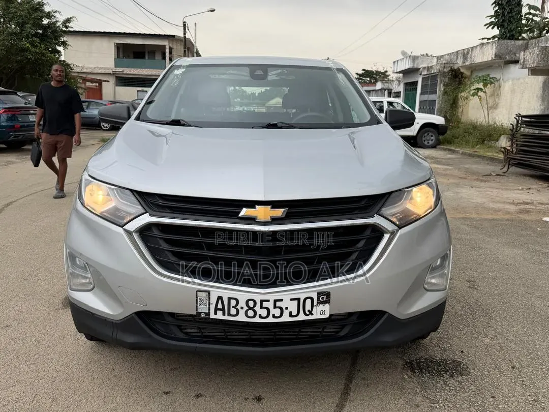 Chevrolet Equinox 2021 Gris