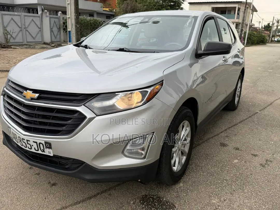 Chevrolet Equinox 2021 Gris
