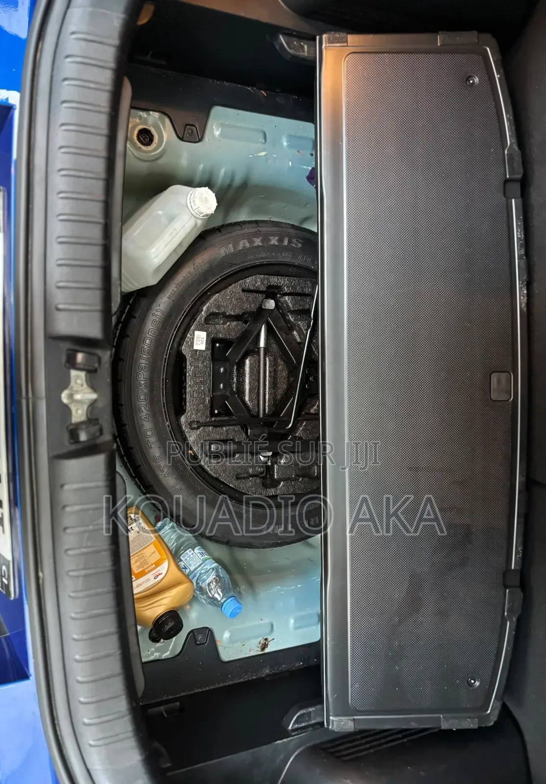 Kia Âme EX 2020 Bleu
