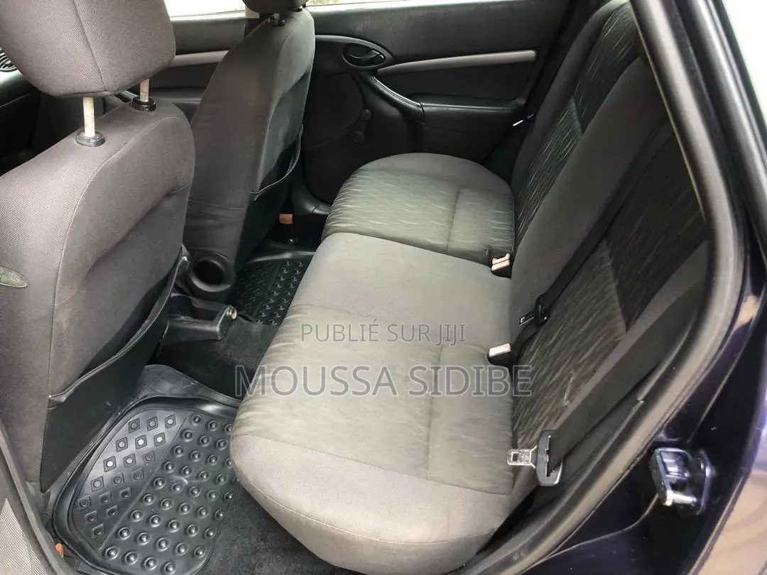 Ford Focus 2004 Gris