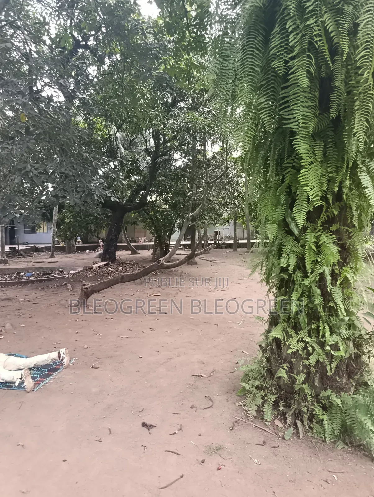 Terrain a Vendre a Cocody Riviera Bonoumin