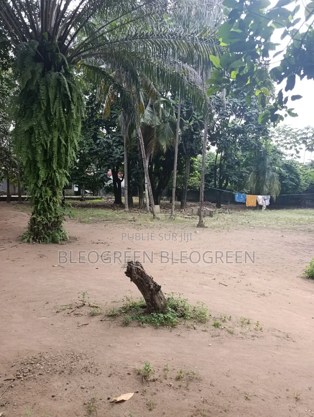 Terrain a Vendre a Cocody Riviera Bonoumin