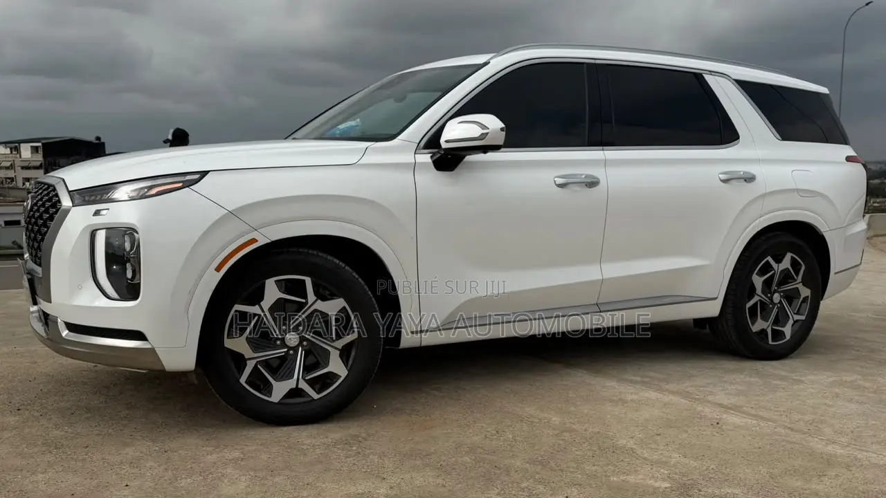 Hyundai Palissade Calligraphy 2023 Blanc