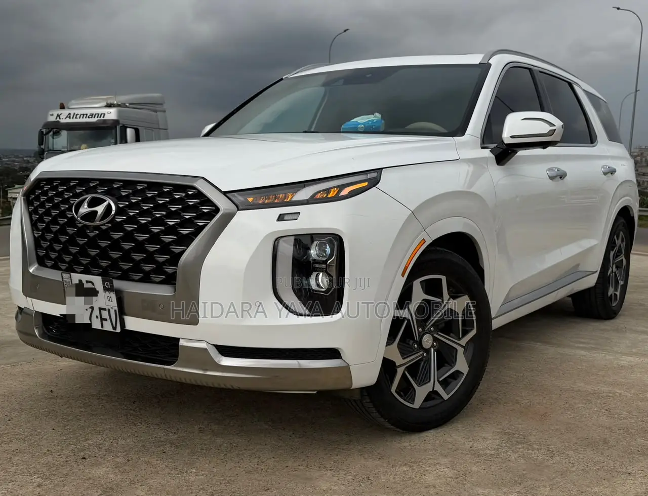 Hyundai Palissade Calligraphy 2023 Blanc
