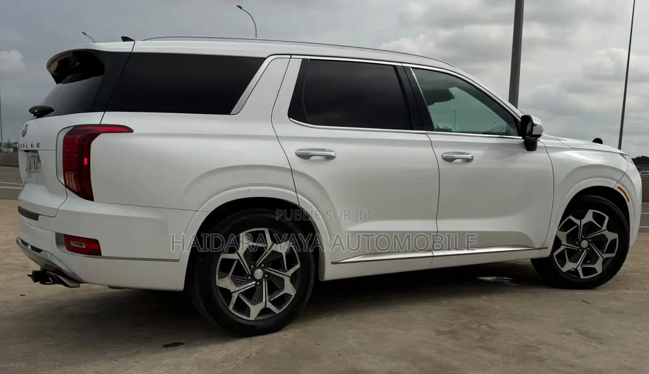 Hyundai Palissade Calligraphy 2023 Blanc