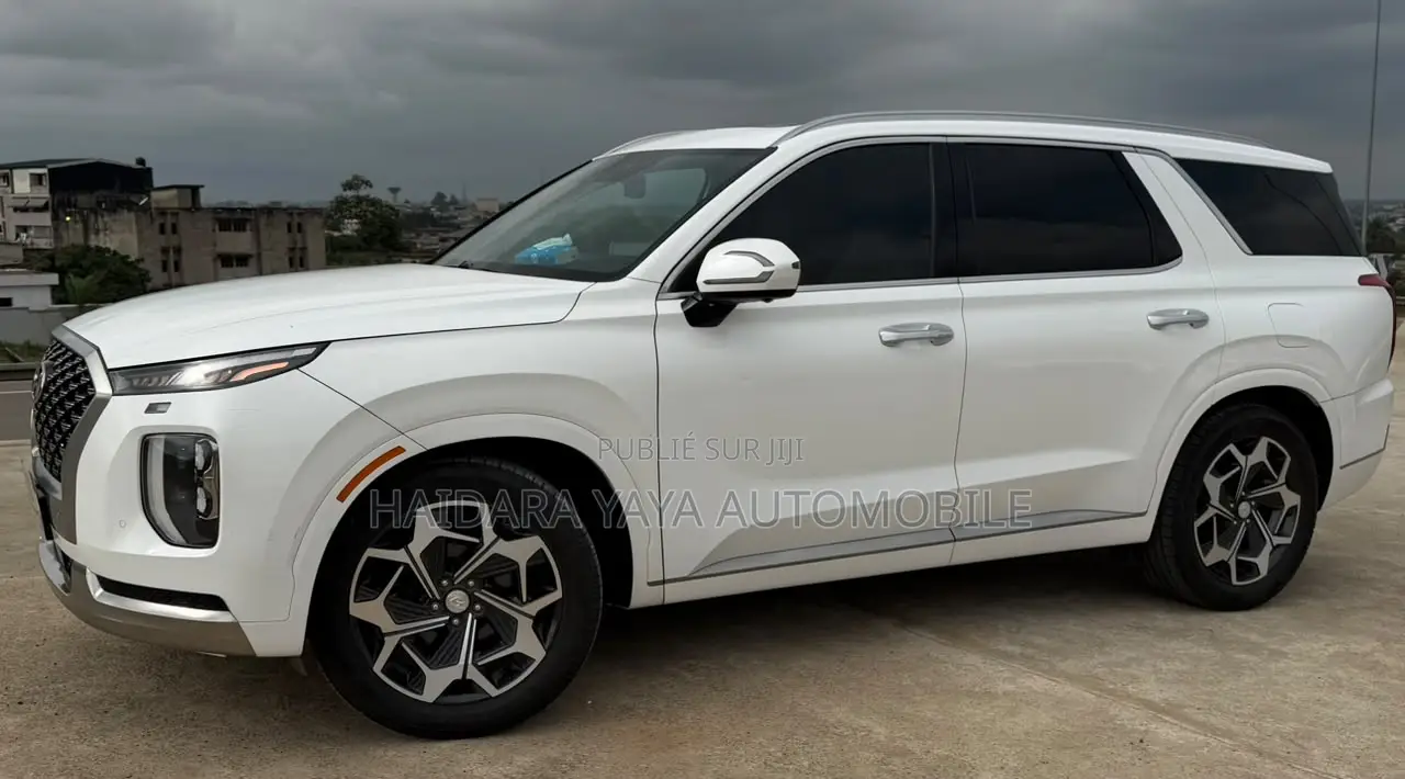 Hyundai Palissade Calligraphy 2023 Blanc