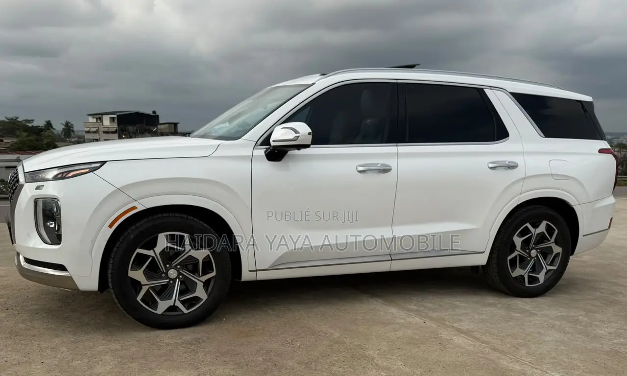 Hyundai Palissade Calligraphy 2023 Blanc
