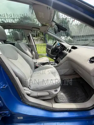 Peugeot 308 2009 Bleu