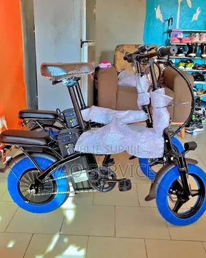 Vélo Électrique