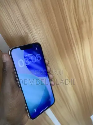 Pomme iPhone 13 128 GB Blanc