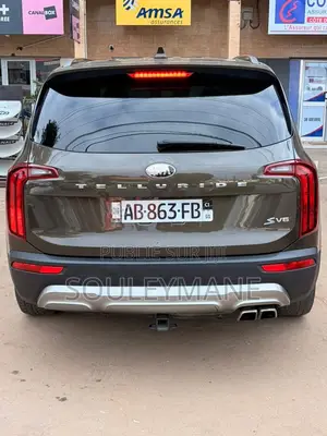 Kia Telluride 2020 Gris
