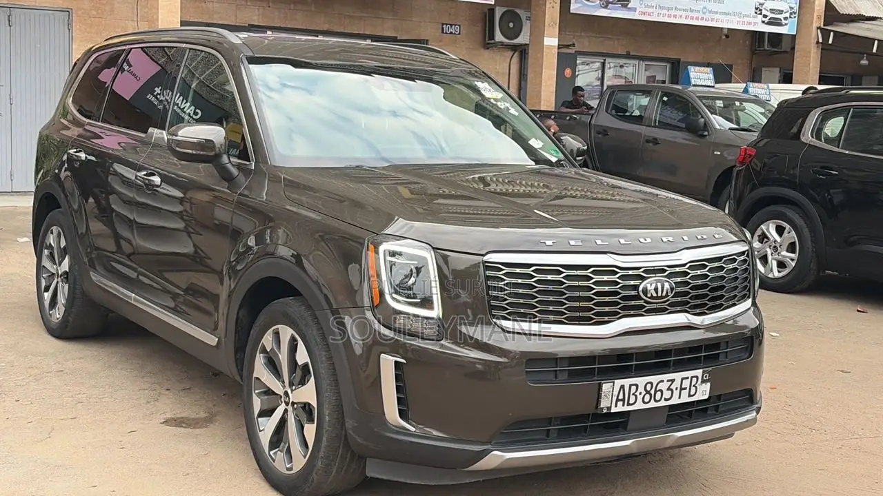 Kia Telluride 2020 Gris