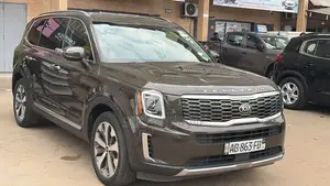 Kia Telluride 2020 Gris