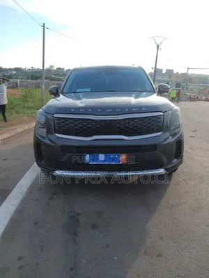 Kia Telluride 3.8 AWD 2022 Gris