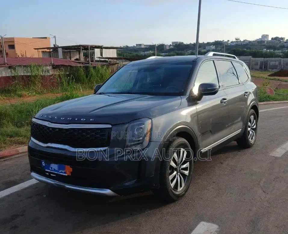 Kia Telluride 3.8 AWD 2022 Gris