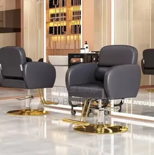 Fauteuil Haute Qualité Pour Salon De Coiffure