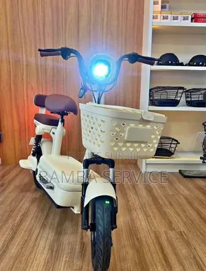 Vélo Électrique
