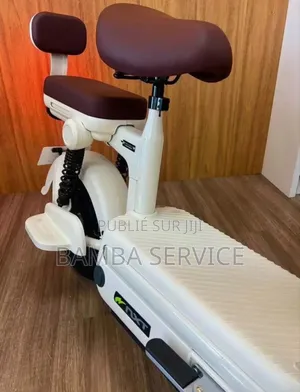 Vélo Électrique