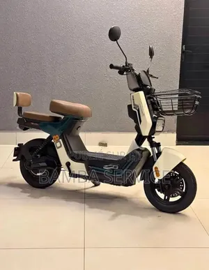 Vélo Électrique