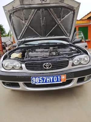 Toyota Corolla 2002 Gris
