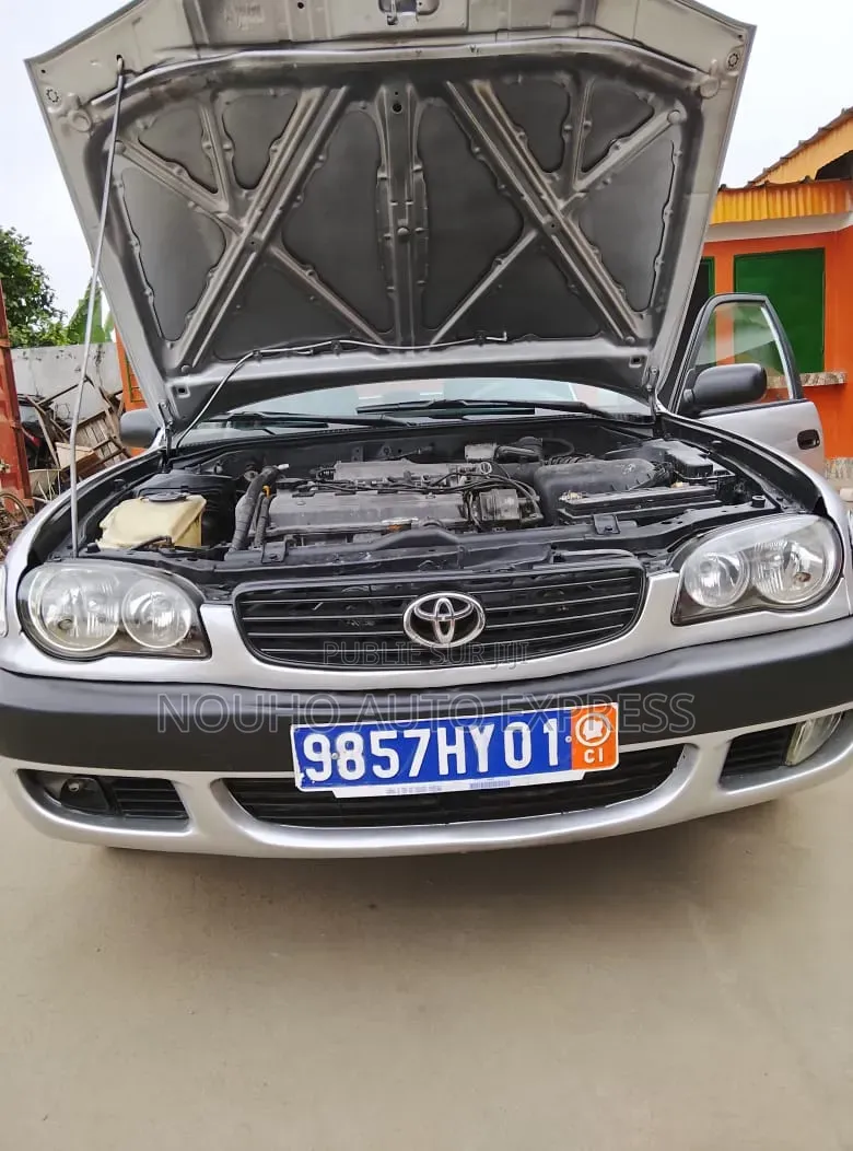 Toyota Corolla 2002 Gris