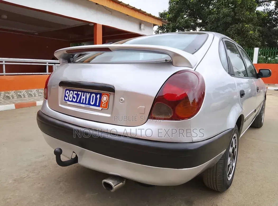 Toyota Corolla 2002 Gris