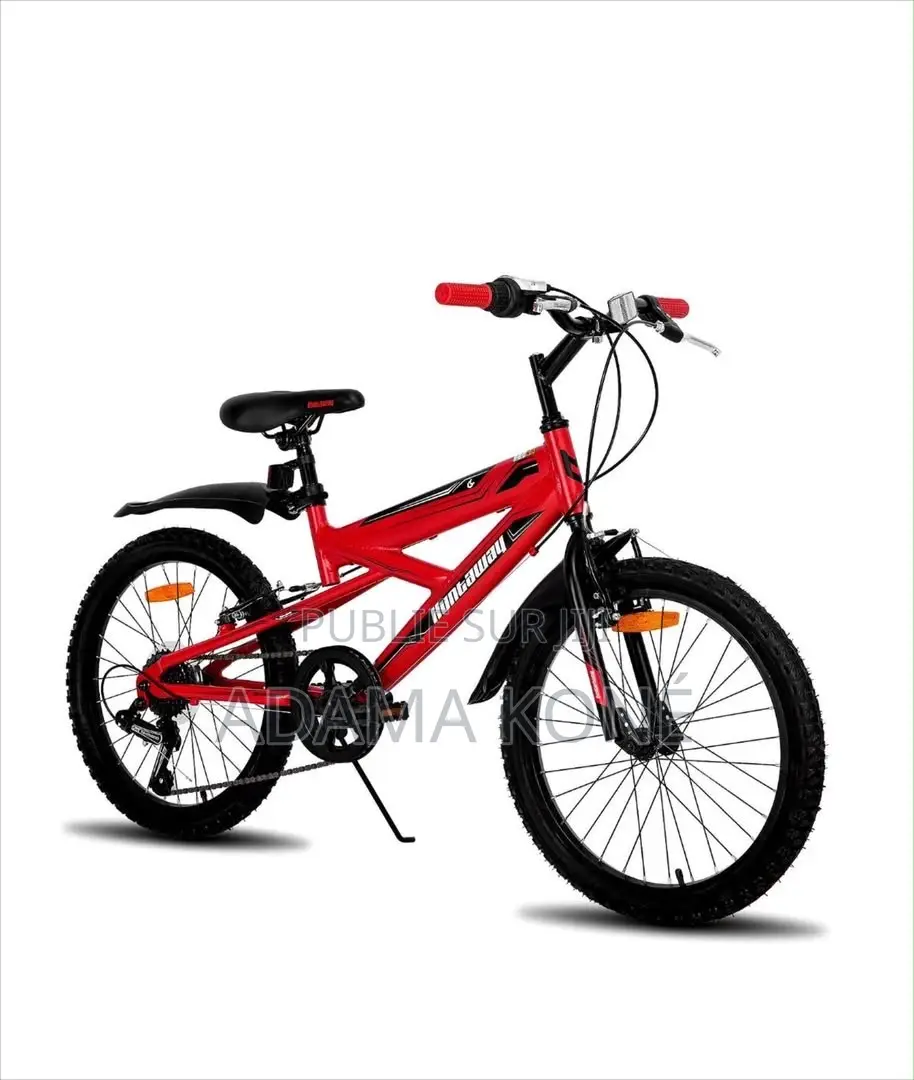 Vélo Électrique