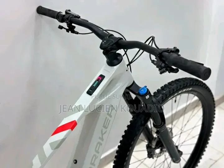 Vélo Électrique