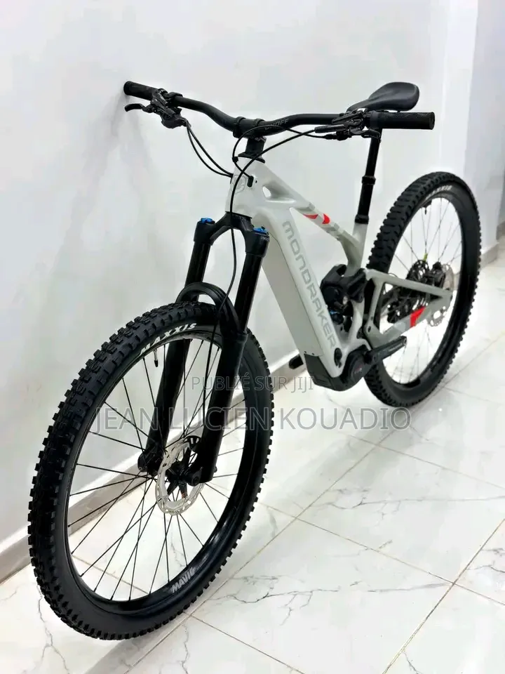 Vélo Électrique